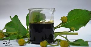 روغن گیاهی (نباتی) – Vegetable oil