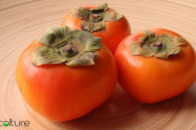آشنایی با خواص و مضرات خرمالو